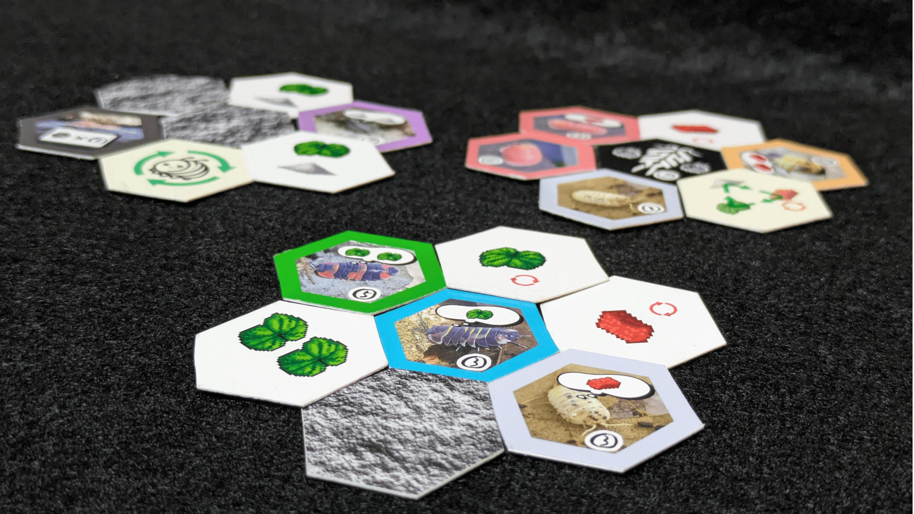 ななころむし（seven roly polies）