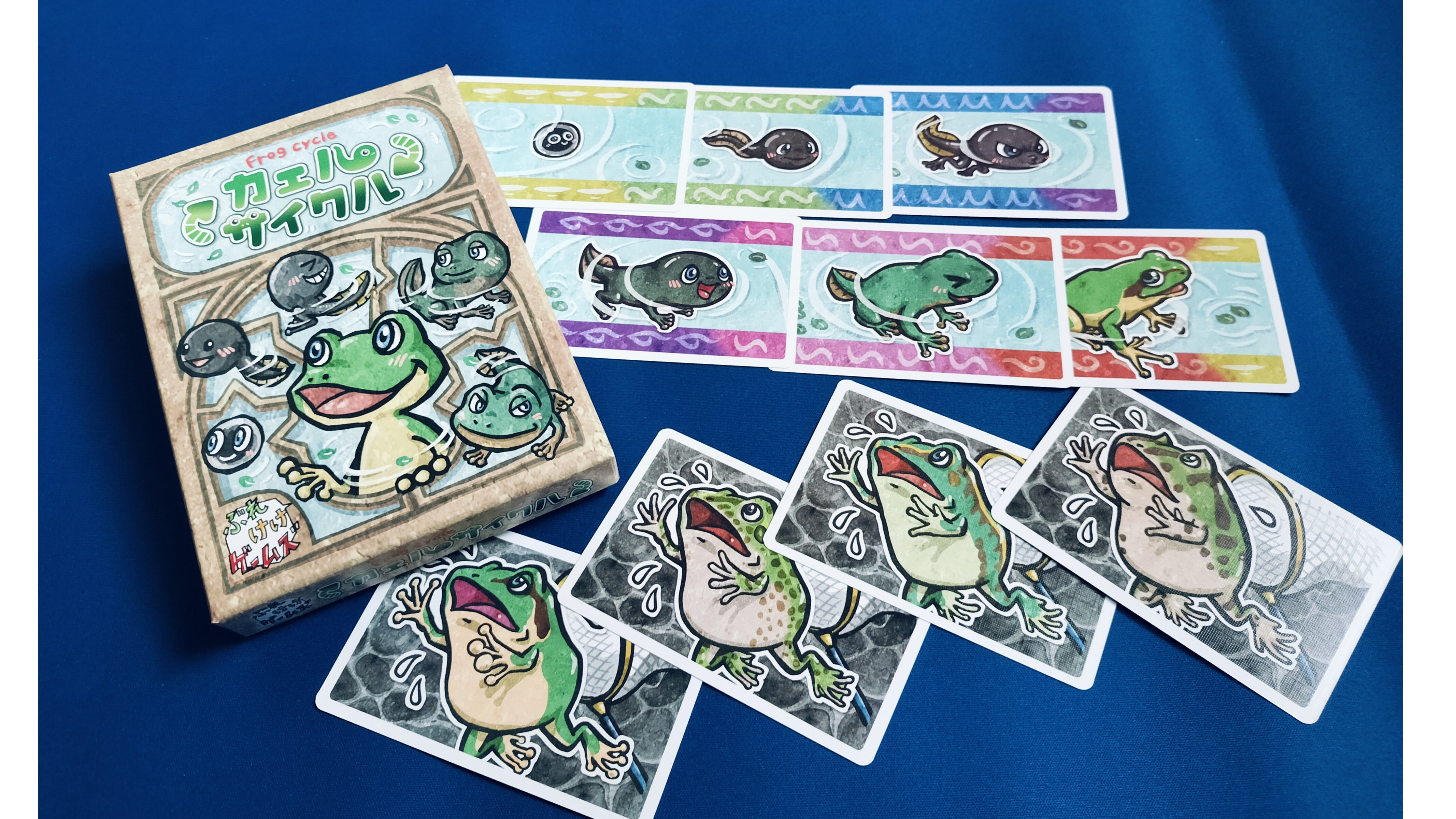カエルサイクル