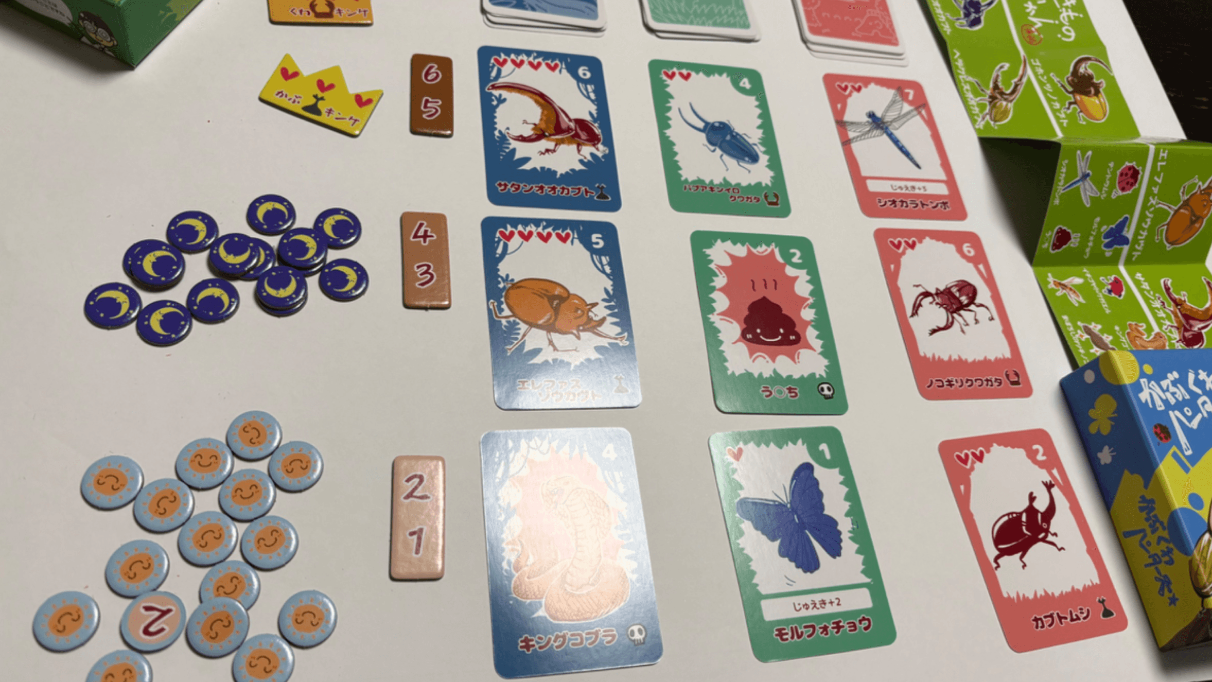 カブクワ★ハンターズ