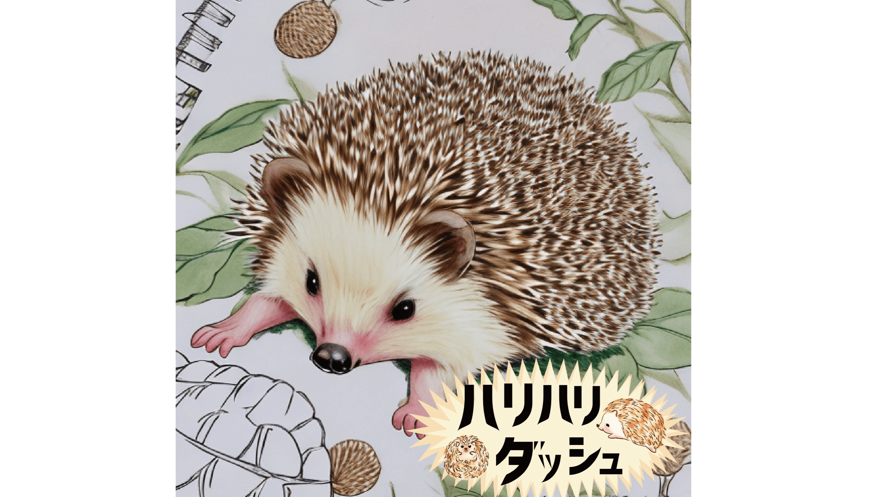 ハリハリダッシュ