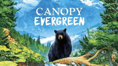 キャノピー:エバーグリーン（Canopy Evergreen）