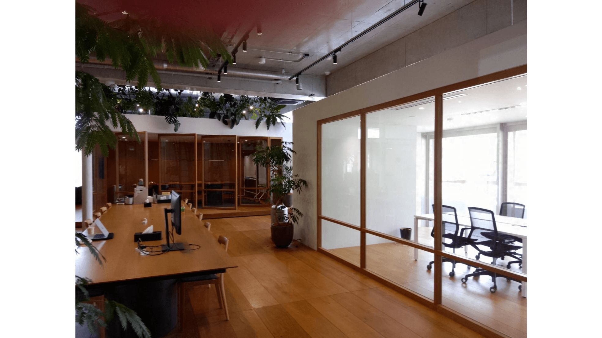 イベント画像 1