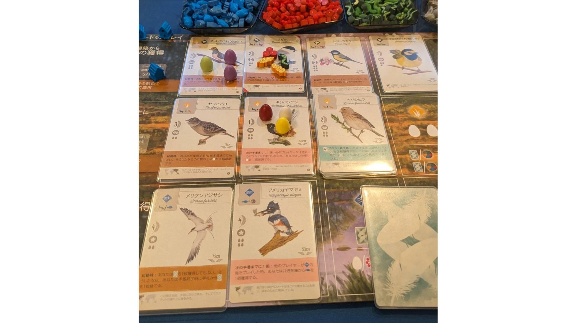 イベント画像 1