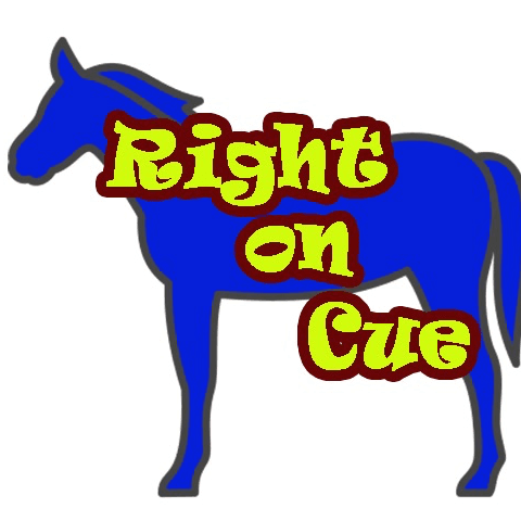 ライトオンキュー