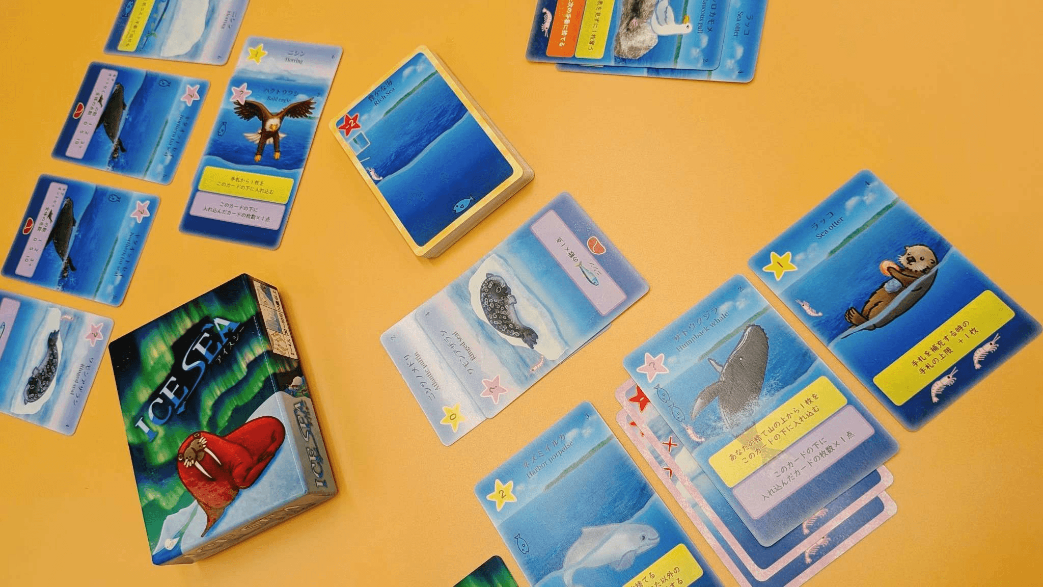 ICE SEA（アイスシー）（ICE SEA）