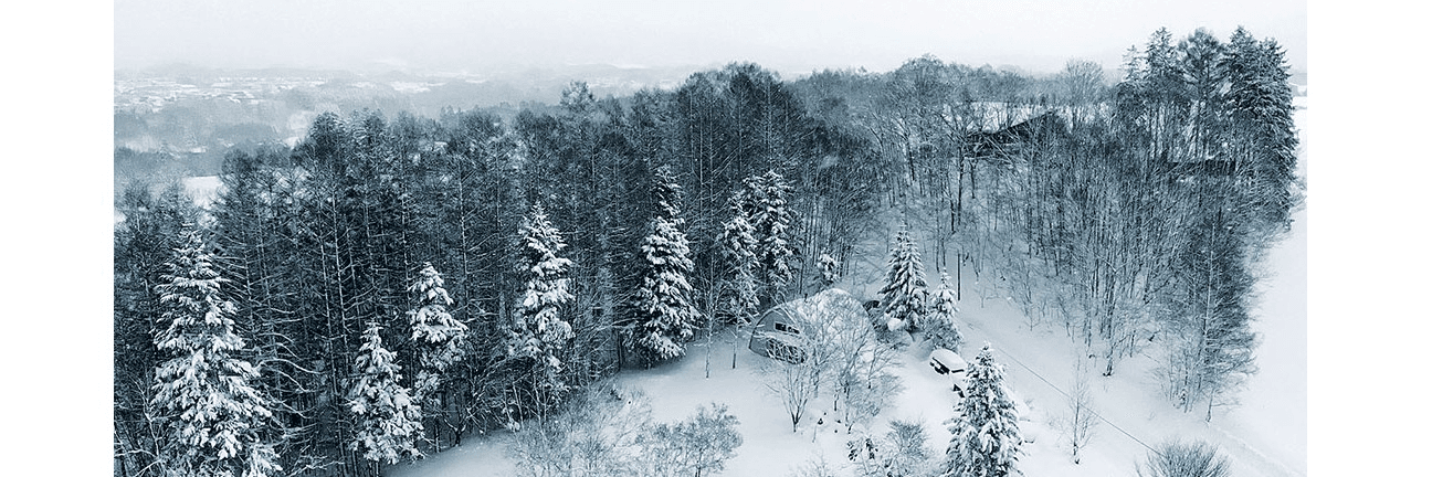 バナナムーン・ステュディオ