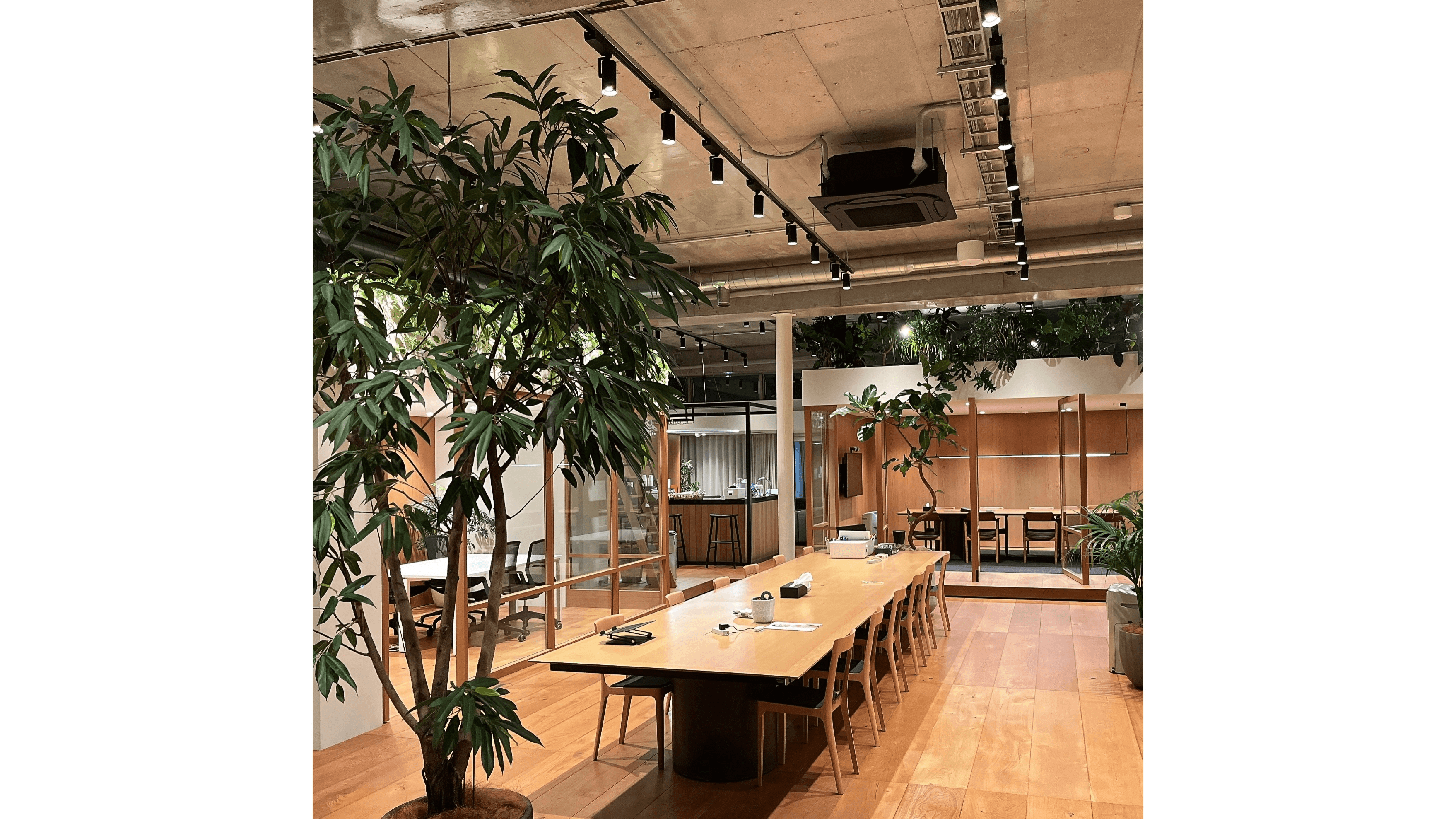 イベント画像 8