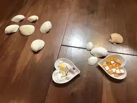 もぉ〜いぃ貝？