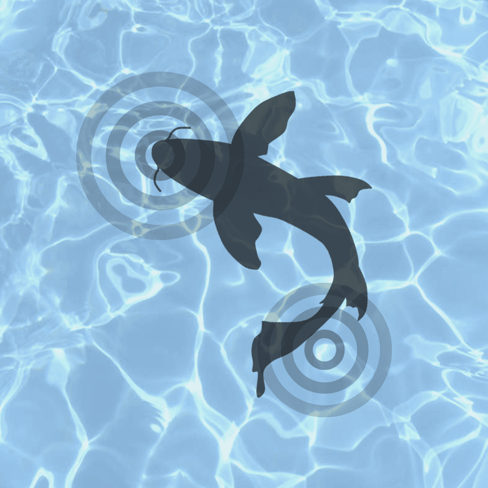 ボドゲ制作サークル「遊神」