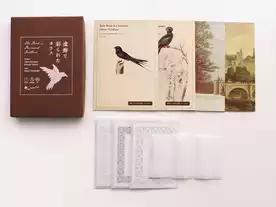 虚飾で彩られたカラス