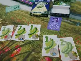 カッパと猿と宇宙人