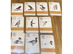 ウイングスパン：プロモーションカード